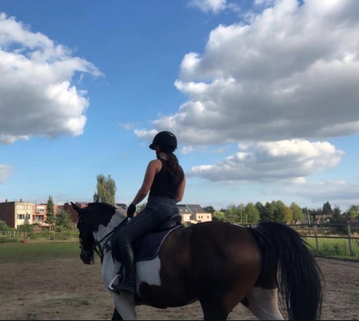 Paardrijlessen, Animaux & Accessoires, Chevaux