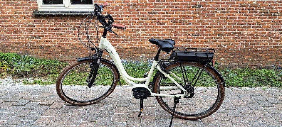 Vélo électrique Riese & Müller pour femme, Vélos & Vélomoteurs, Vélos électriques, Riese & Müller, Moins de 47 cm, 50 km par batterie ou plus