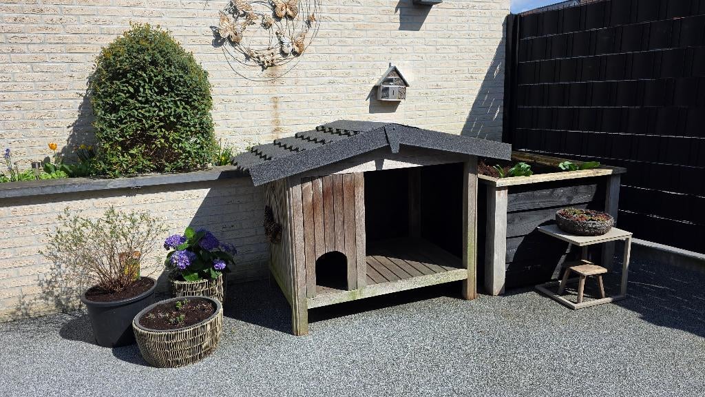 Kattenhuis (hond) voor buiten, Enlèvement