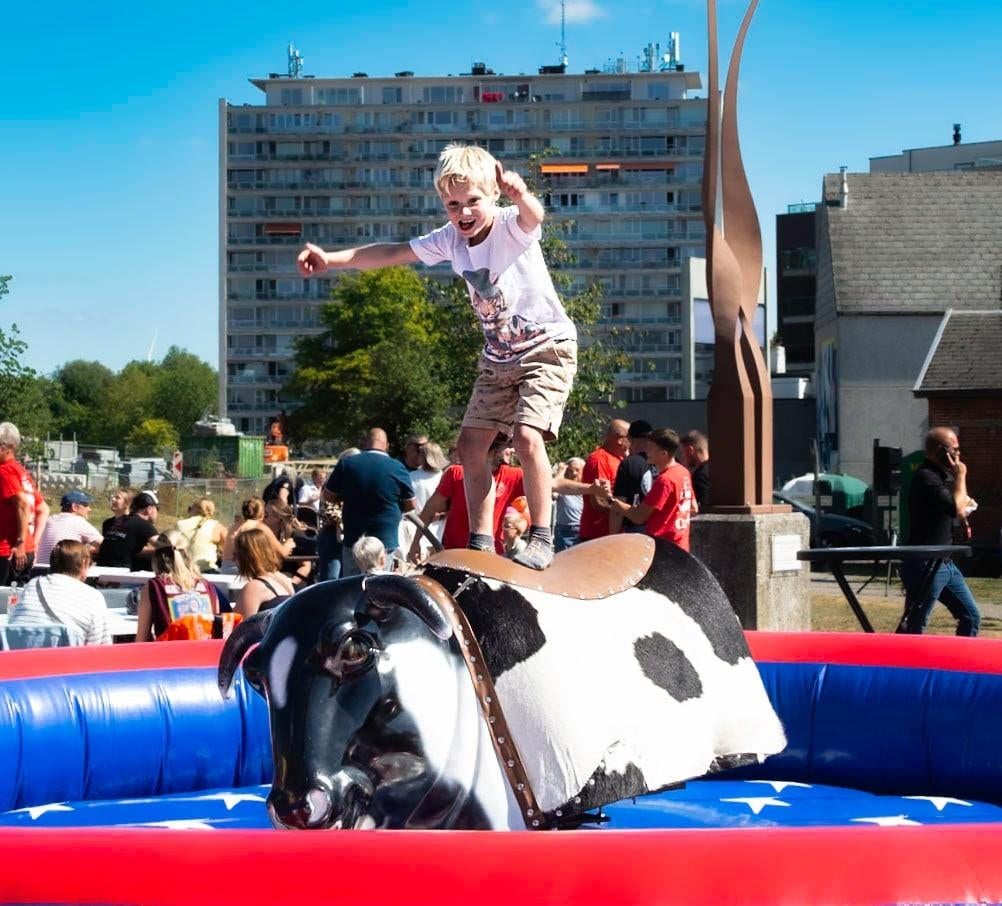250€ INCL BTW     RODEO STIER  MECHANISCHE, Diensten en Vakmensen, Kinderfeestjes en Animatie, Sportief of Actief