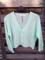 Nieuwe trui met knopjes maat S, Lolaliza, Ophalen, Nieuw, Maat 36 (S)
