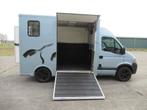 Nissan paardenvrachtwagen B rijbewijs 2-paards, Ophalen, Gebruikt, Aluminium, 2-paards trailer