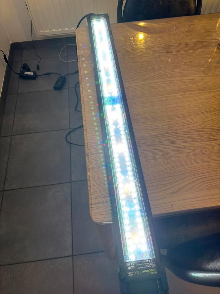 Juwel Helialux Spectrum 1000 + smart control, Animaux & Accessoires, Poissons | Aquariums & Accessoires, Utilisé, Éclairage ou Chauffage
