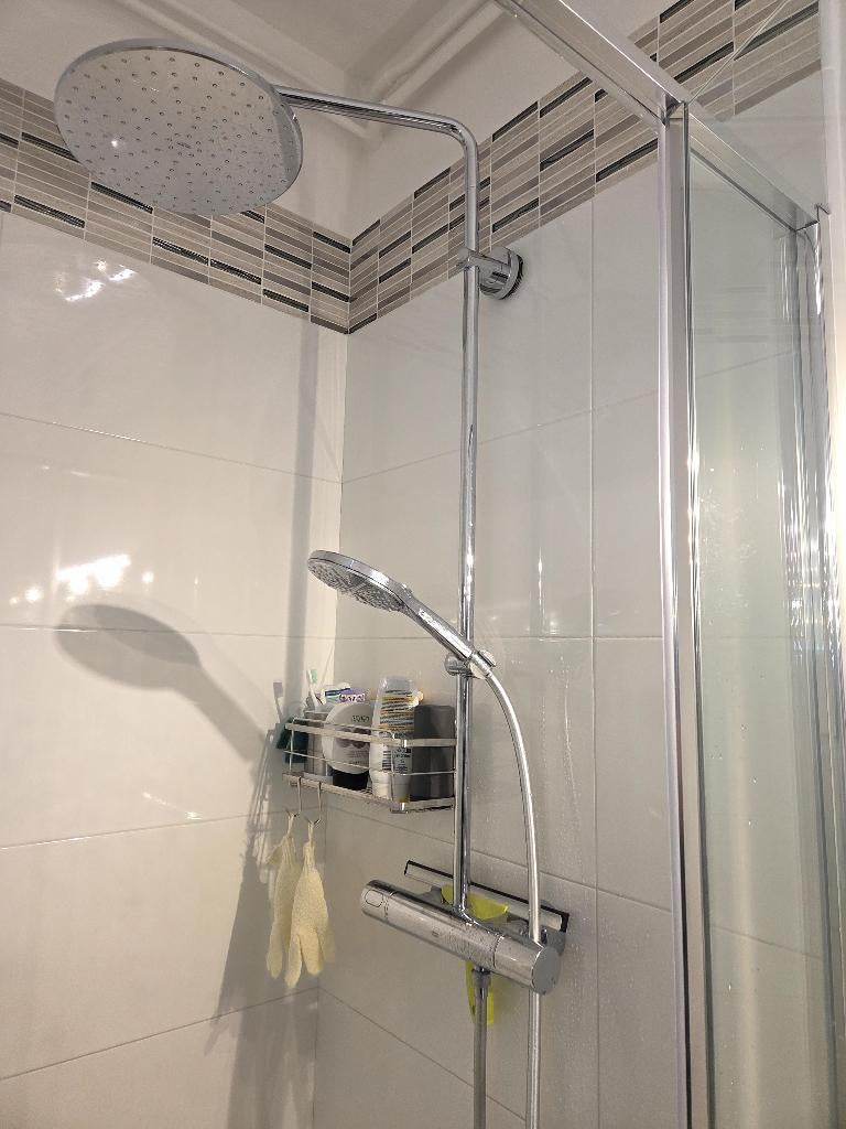 Colonne de douches GROHE, Bricolage & Construction, Enlèvement, Comme neuf, Chrome, Douche