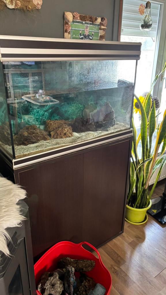 Aqarium + alle toebehoren, Dieren en Toebehoren, Ophalen, Gebruikt