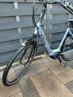 Gazelle elektrische boschmiddenmotor frame 53, Enlèvement, Gazelle