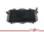 RADIATEUR Yamaha FZR 600 1989-1993 (FZR600 3HE), Motoren, Gebruikt