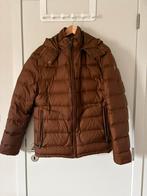 Veste en duvet, Tom Tailor, Brun, Enlèvement, Porté
