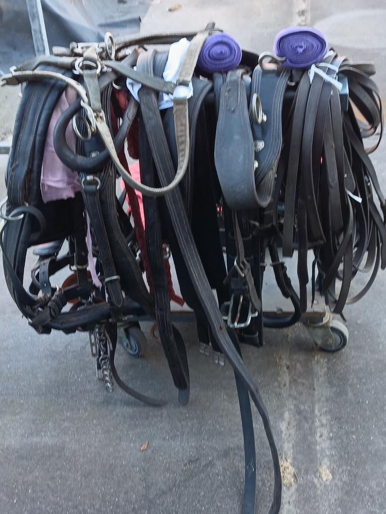 Équipement équestre en tout genre., Animaux & Accessoires, Chevaux & Poneys | Brides & Harnachement, Enlèvement