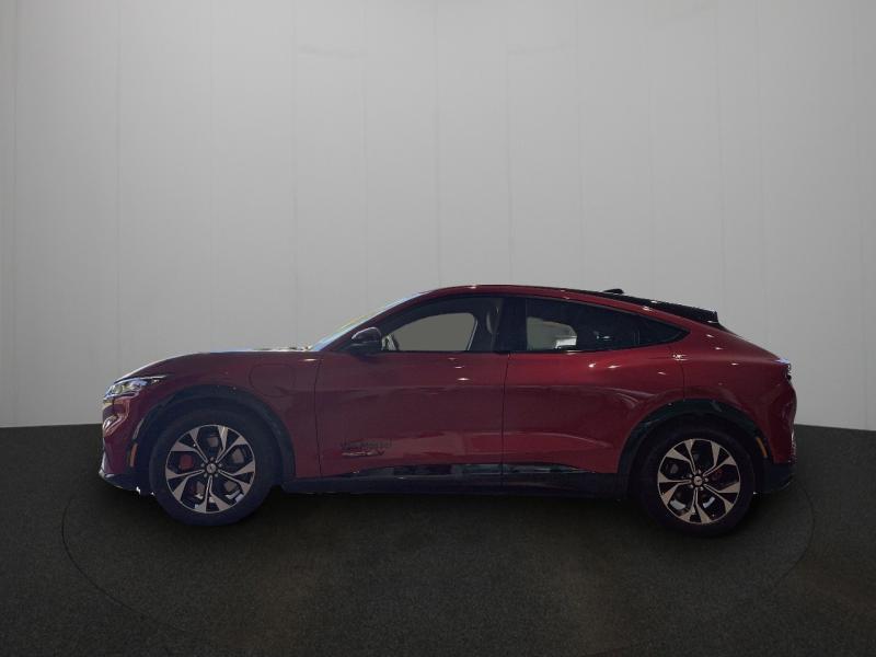 Ford Mustang Mach-E Premium RWD 99kWH|€599/m|Technology, Autos, Rouge, Achat, Entreprise, 216 kW