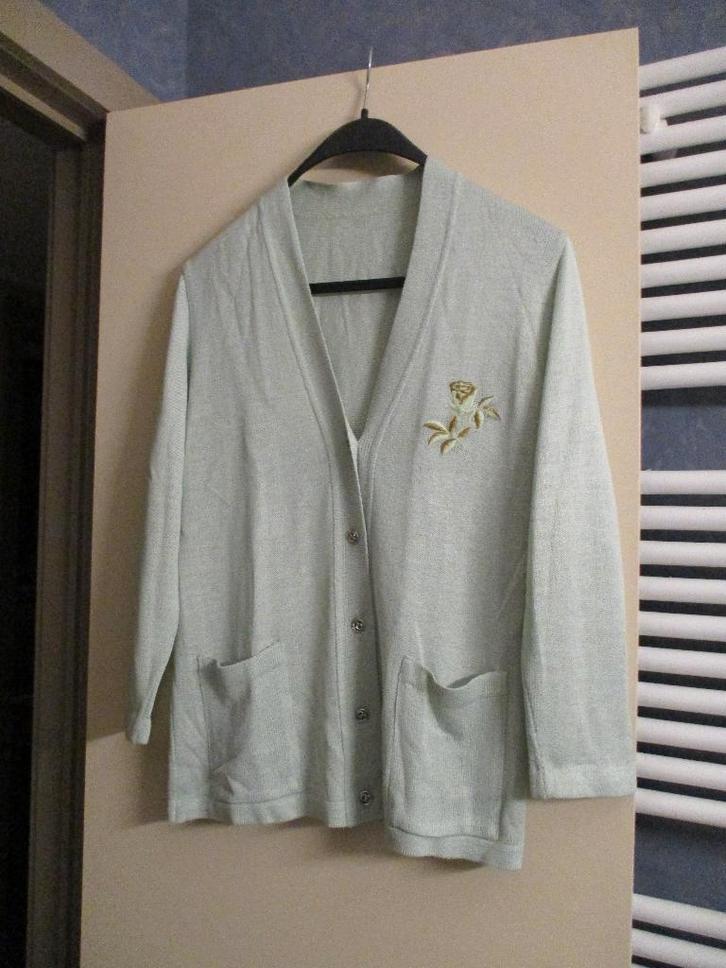 Gilet/cardigan/golf/gilet/pull vert taille M, Vêtements | Femmes, Pulls & Gilets, Taille 38/40 (M), Vert, Enlèvement ou Envoi