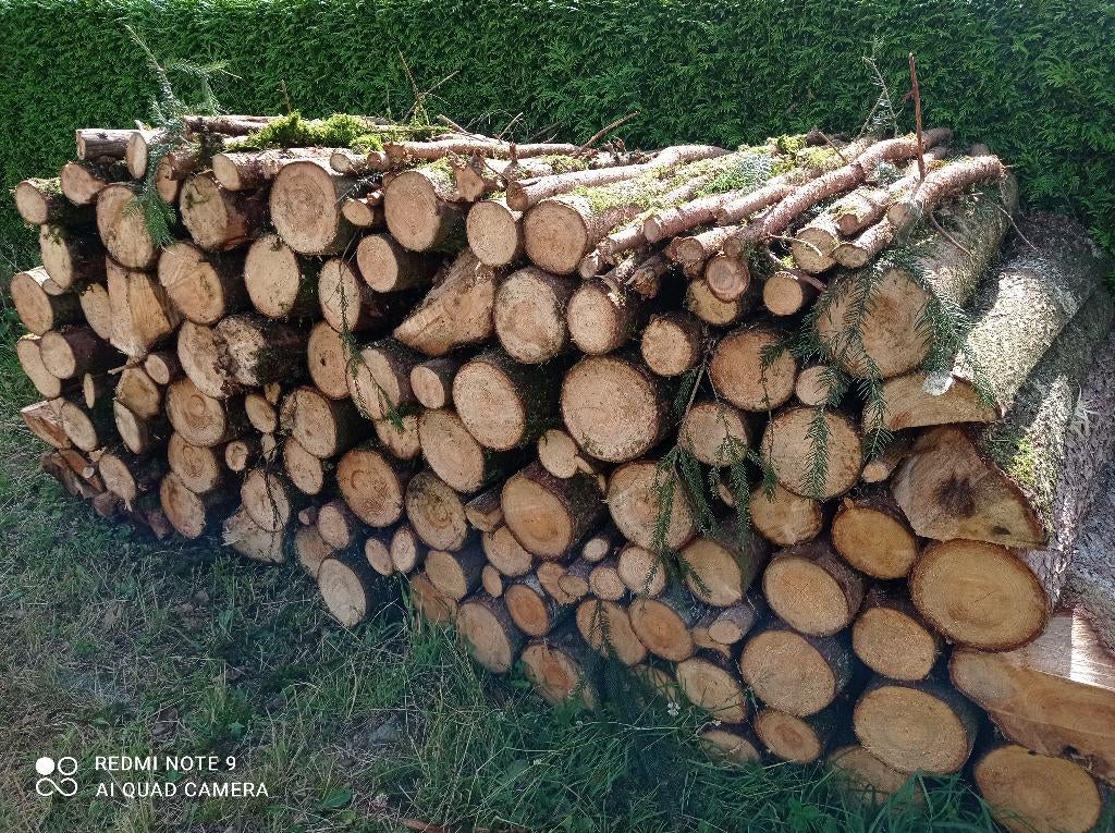 Bois de Chauffage Epicéa en 1m, Jardin & Terrasse, Bois de chauffage, Bûches, Autres essences de bois, 6 m³ ou plus, Enlèvement