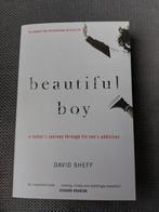 Beautiful boy (Engelstalig), Enlèvement