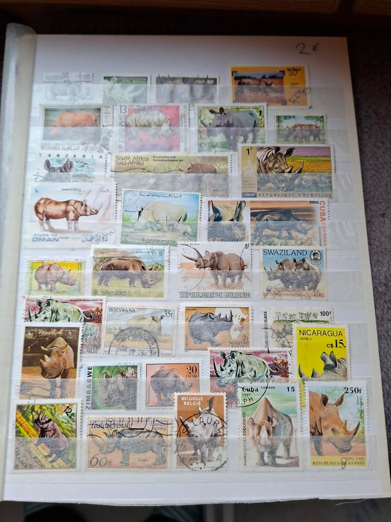 Postzegels neushoorns, Ophalen