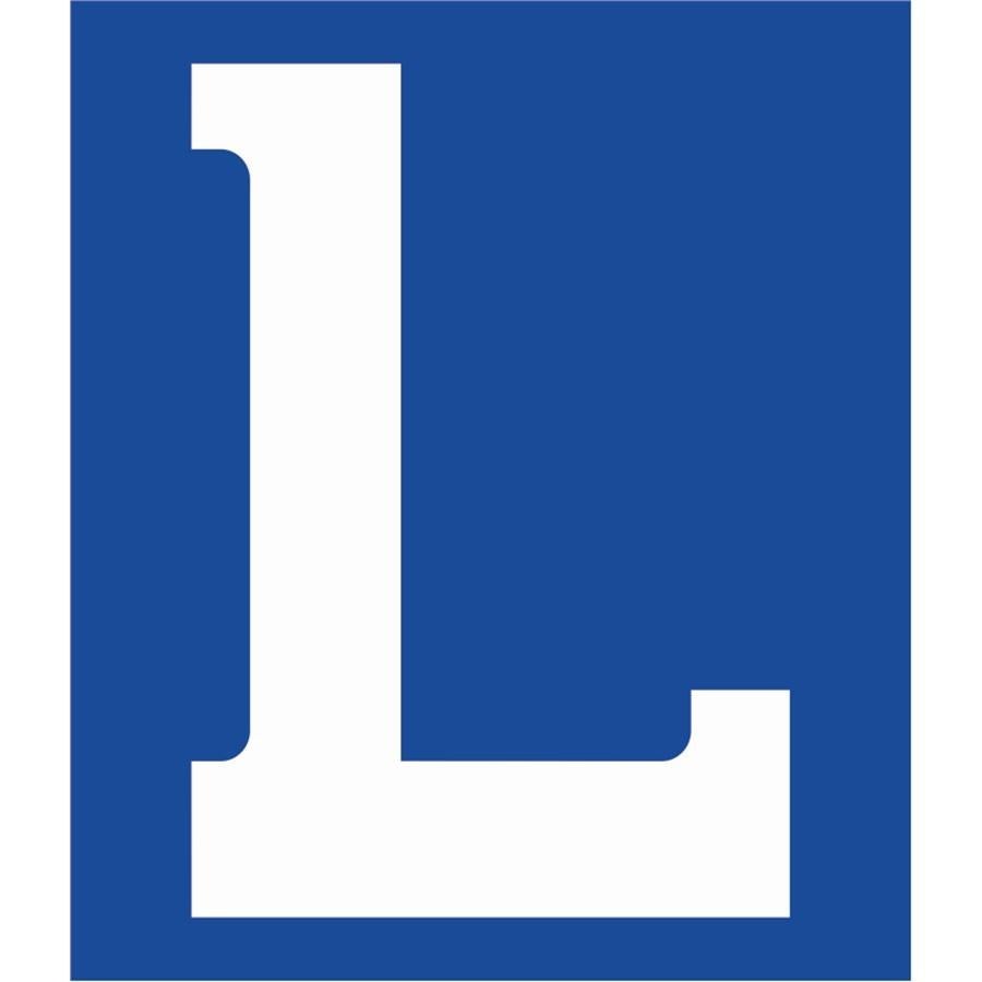 DRINGEND: Begeleider gezocht voor rijbewijs (M36), Auto's, Overige Auto's, Particulier, Ophalen of Verzenden