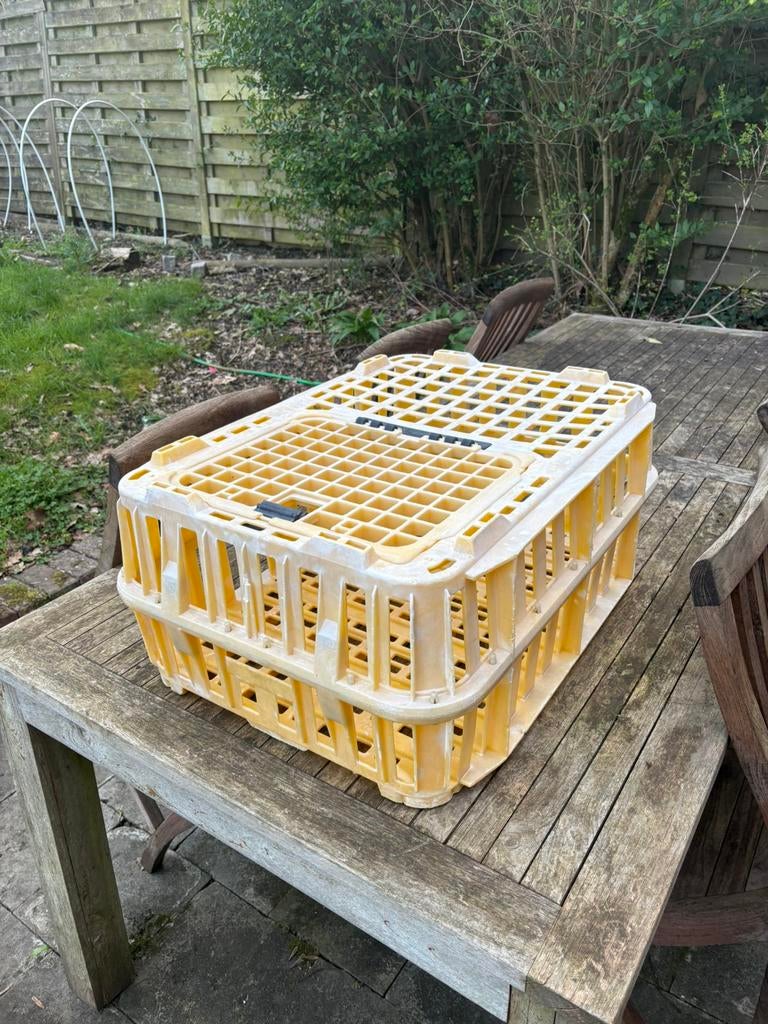 Transportbox voor pluimvee, Ophalen, Zo goed als nieuw