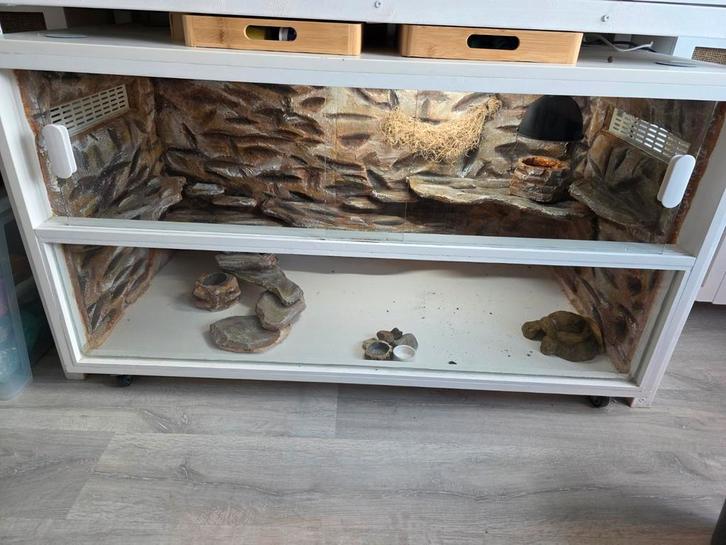 Terrarium 120 x 60 x 60, Dieren en Toebehoren, Reptielen en Amfibieën | Toebehoren, Gebruikt, Terrarium of Paludarium, Ophalen