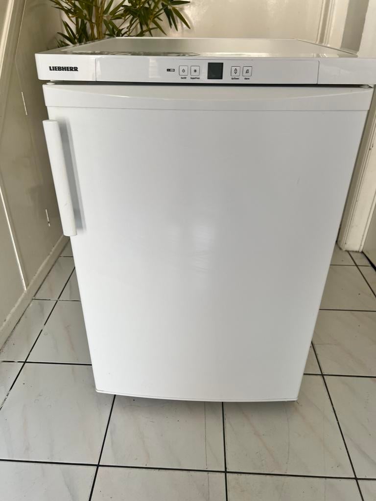 Congélateur Liebherr gp1376, Electroménager, Enlèvement, Comme neuf, Congélateur