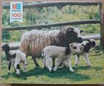 Puzzel schaapjes 100st VOLLEDIG, Ophalen