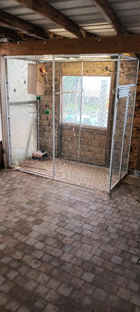 Voliere, Animaux & Accessoires, Oiseaux | Cages & Volières, Enlèvement ou Envoi, Comme neuf, Aluminium, Volière