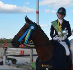 Paardrijlessen op maat –  regio west Vlaanderen, Dieren en Toebehoren