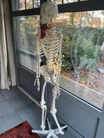 Skelet kunststof, Diversen, Ophalen, Zo goed als nieuw