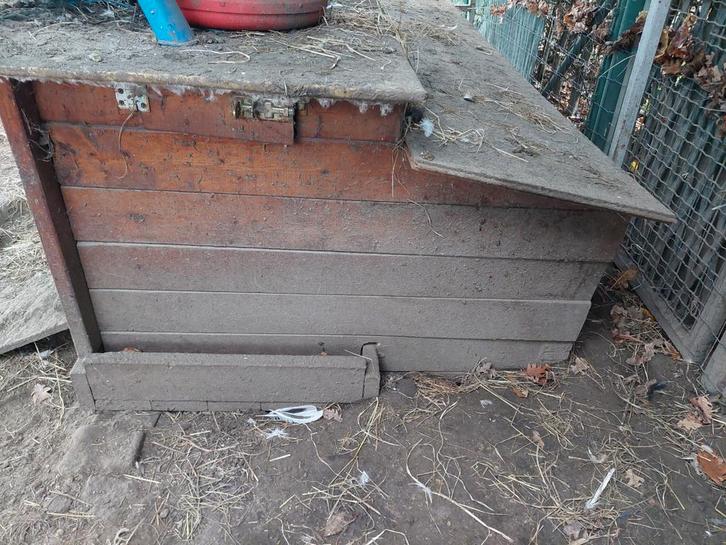 Kippenhok, Dieren en Toebehoren, Vogels | Hokken en Kooien, Hout, Ophalen