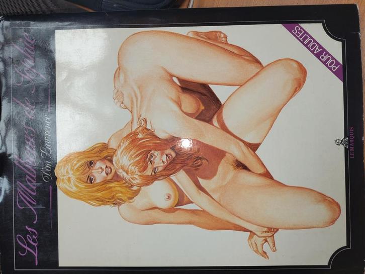 THORGAL,DON LAWRENCE - Les Malheurs de Sophie, Livres, BD | Comics, Enlèvement ou Envoi