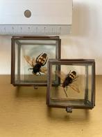 Stolp met reuzedolk wesp, Huis en Inrichting, Ophalen of Verzenden, Gebruikt