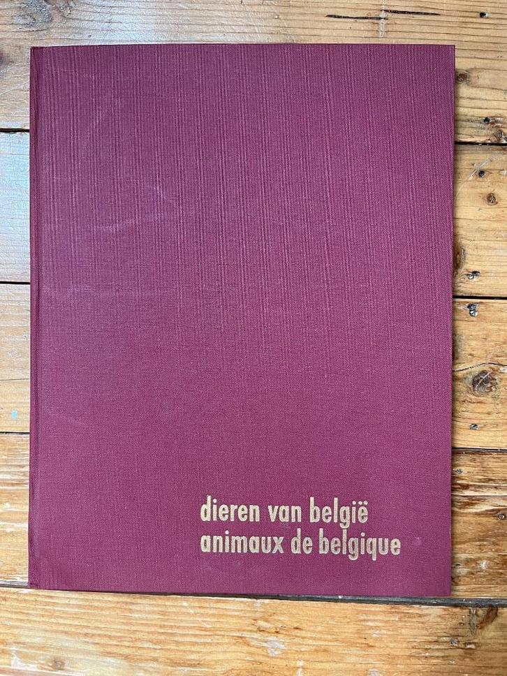 FORT - Dieren in België/ animaux de Belgique, Boeken, Prentenboeken en Plaatjesalbums, Gelezen, Plaatjesalbum, Ophalen of Verzenden