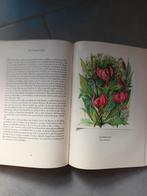 Artis Bloemen uit de bergen, Boeken, Prentenboeken en Plaatjesalbums, Ophalen of Verzenden, Gelezen, Artis Historia, Plaatjesalbum