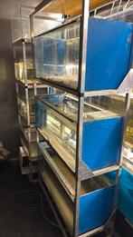 Aquarium stelling te koop, Dieren en Toebehoren, Vissen | Aquaria en Toebehoren, Ophalen, Zo goed als nieuw