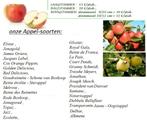 APPELBOMEN Versch.soorten Laagstam 15€, Halfstm 20 & Hgst 30, Jardin & Terrasse, Plantes | Arbres fruitiers, Pommier, Printemps