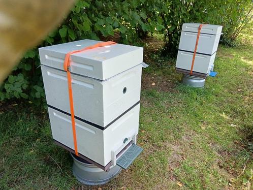 Dadant polystyreen bijenkast, Dieren en Toebehoren, Insecten en Spinnen