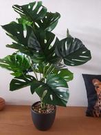 Nieuwe prachtige kunstplant in stenen pot, Ophalen