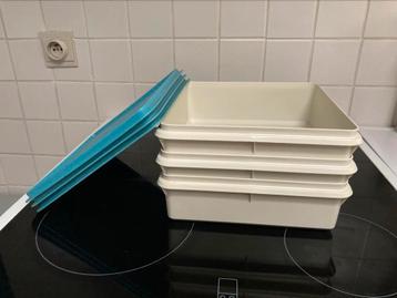 Tupperware bewaardozen beschikbaar voor biedingen