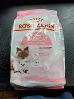 Royal canin mother & babycat, Ophalen, Kat