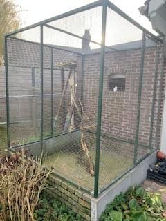 volière, Dieren en Toebehoren, Vogels | Hokken en Kooien, Gebruikt, Volière, Aluminium, Ophalen