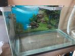 Aquarium met afgeronde hoeken, Enlèvement, Comme neuf