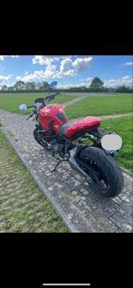 Ducati Monster 821, Motoren, Motoren | Ducati, 2 cilinders, Motorrijbewijs A, Meer dan 35 kW, 821 cc