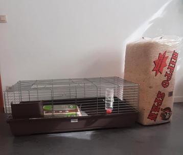 Caviahok 120 x 60 cm beschikbaar voor biedingen