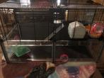Gerbil kooi in nieuwe staat, Dieren en Toebehoren, Kooi, Minder dan 75 cm, Zo goed als nieuw, Hamster