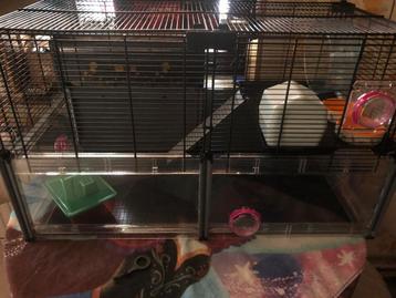 Gerbil kooi in nieuwe staat beschikbaar voor biedingen