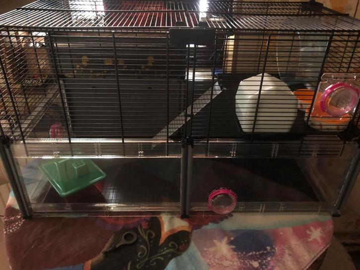 Gerbil kooi in nieuwe staat, Dieren en Toebehoren, Knaagdieren en Konijnen | Hokken en Kooien, Zo goed als nieuw, Kooi, Minder dan 60 cm