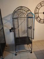 Cage perroquet, Enlèvement, Utilisé, Métal, Cage à oiseaux