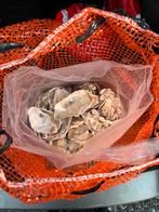 Coquille Huitre filtre étang sac de 5kg, Jardin & Terrasse, Étangs, Enlèvement ou Envoi