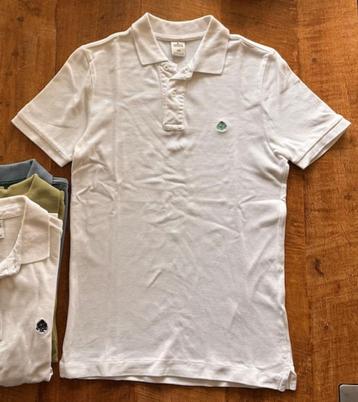 T-shirts Springfield xs(5st) beschikbaar voor biedingen