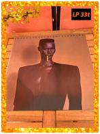 Vinyl LP 33t. Grace Jones, Cd's en Dvd's, Ophalen of Verzenden, Zo goed als nieuw