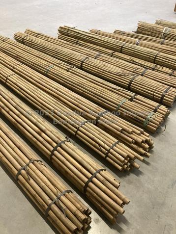 Tonkinstokken bamboestokken bamboe boomsteun plantensteun beschikbaar voor biedingen