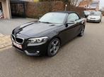 BMW 218 i CABRIO ADVANTAGE AUTOMAAT, Auto's, BMW, Automaat, 4 zetels, 1498 cc, Euro 6